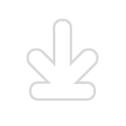 Icone d'enregistrement